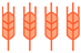 Sapore livello 4