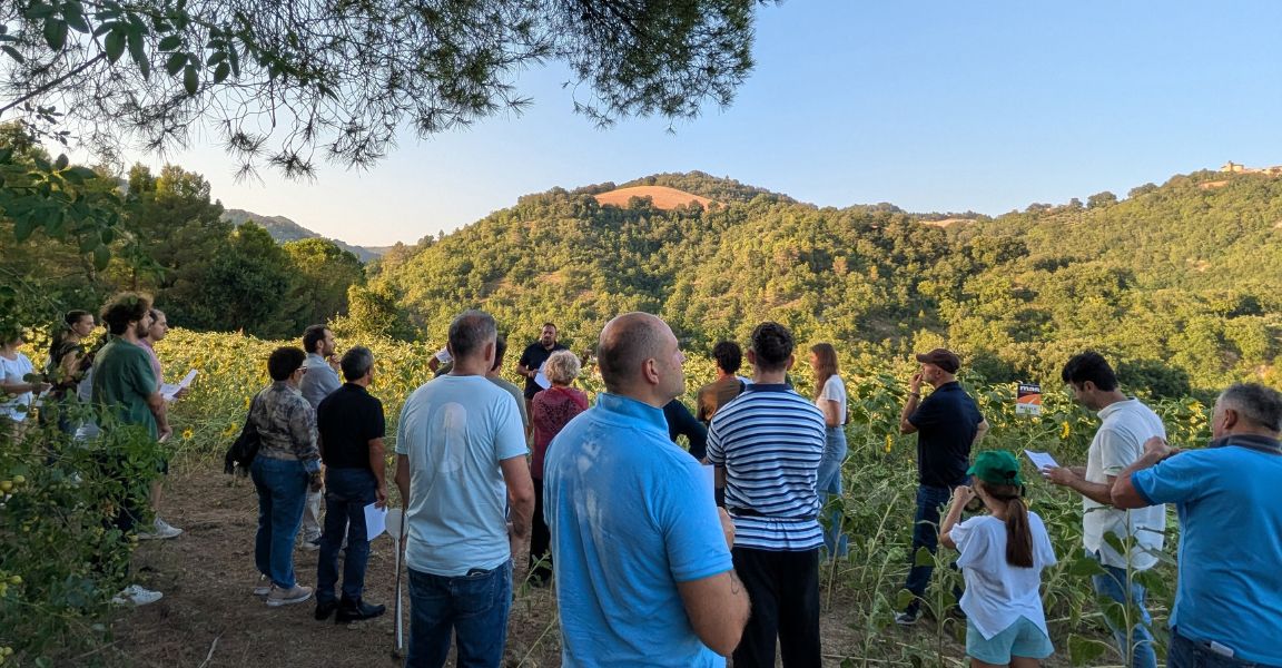 seminario visita campi girasole gino girolomoni 1152x600